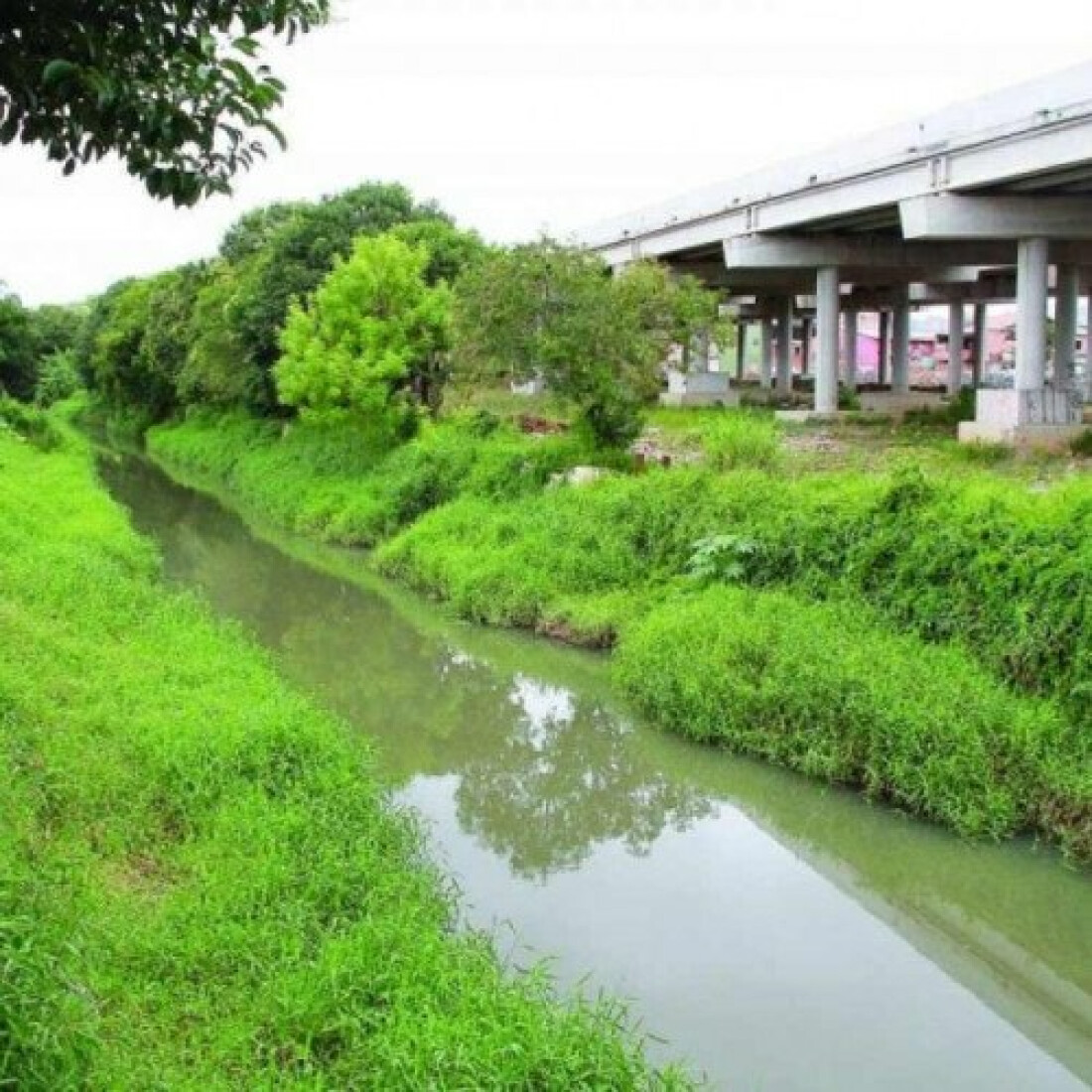 Limpeza do Guaió começa nas próximas semanas