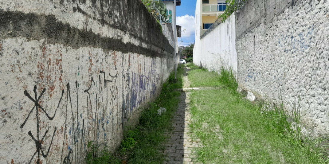 Sem manutenção, viela fica coberta de mato em Poá
