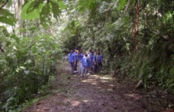 Parque Municipal terá visitação ainda neste mês