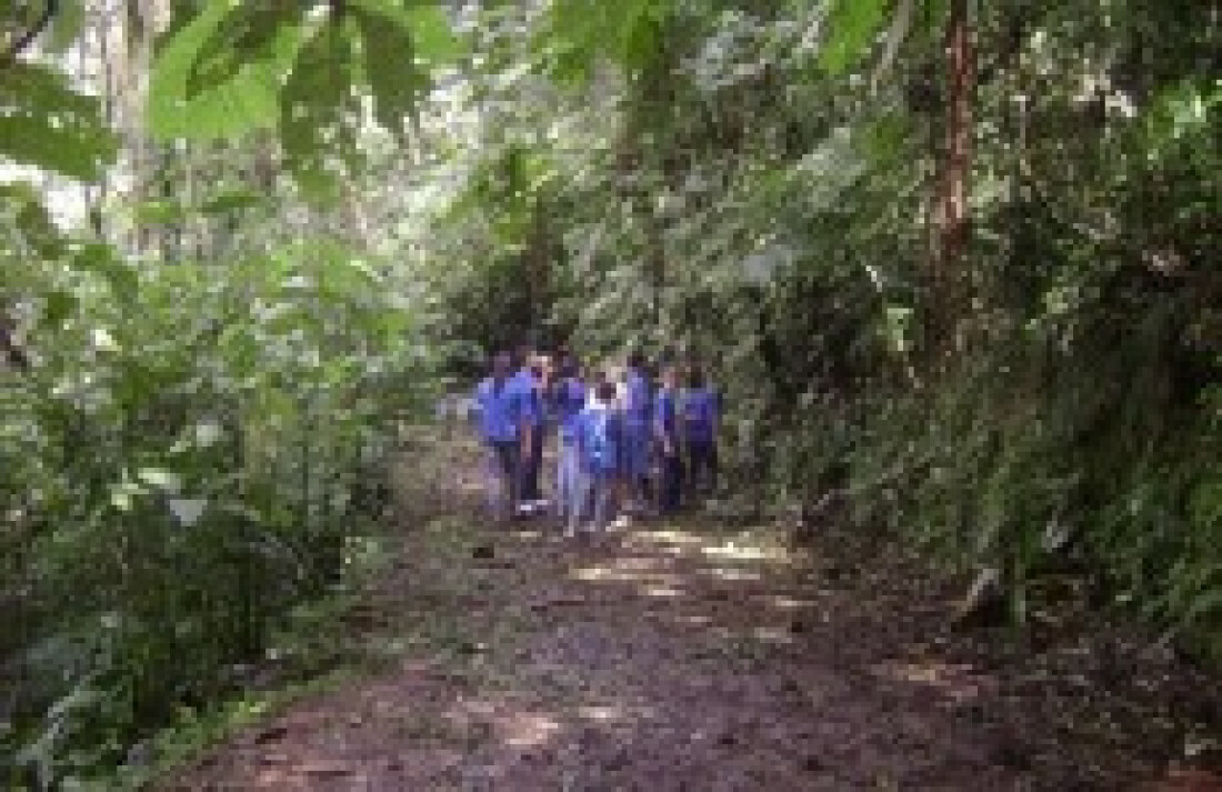 Parque Municipal terá visitação ainda neste mês