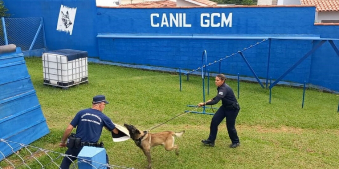 Mogi cumpre nova etapa antes de licitação