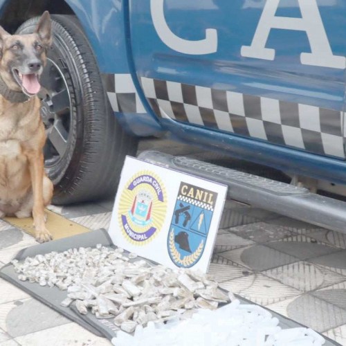 Drogas apreendidas e carro recuperado