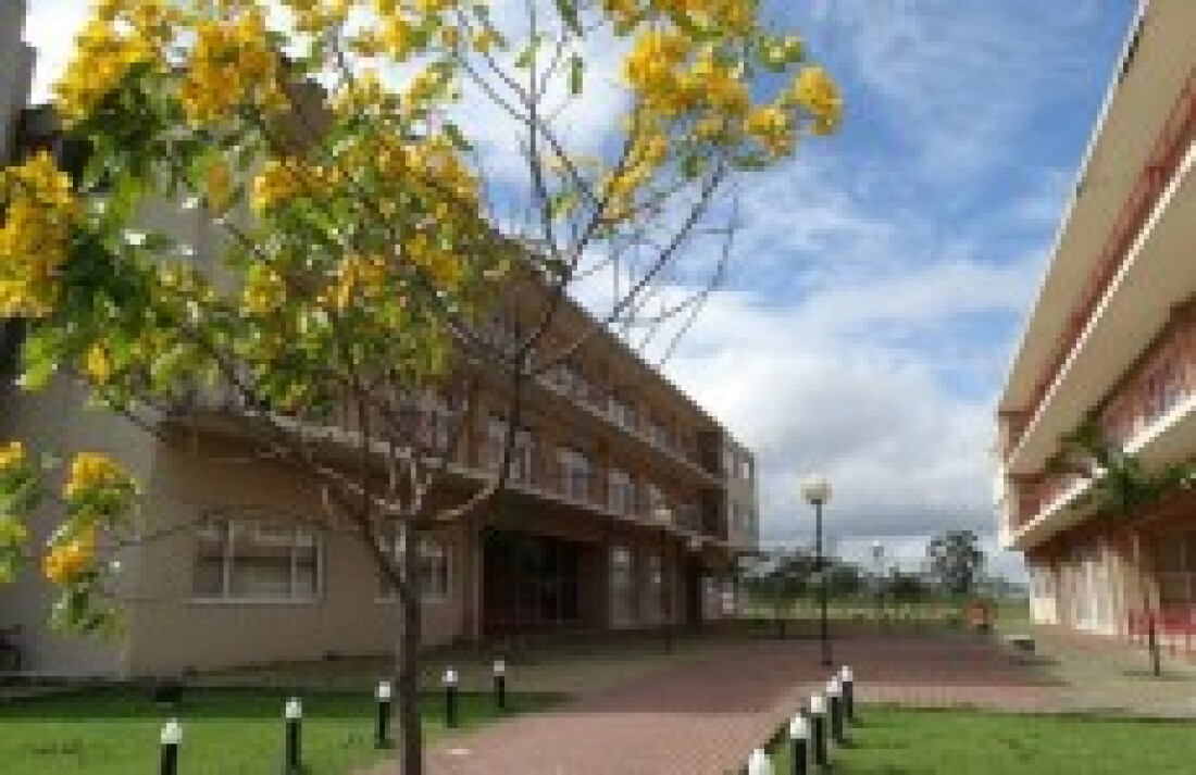Piaget terá Bacharelado em Educação Física em 2017