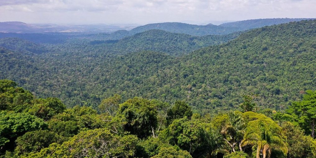 Amazônia: redução da pobreza e do desmatamento podem coexistir