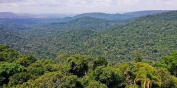 Amazônia: redução da pobreza e do desmatamento podem coexistir