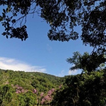 Mogi faz planejamento para o Programa Município Verde Azul