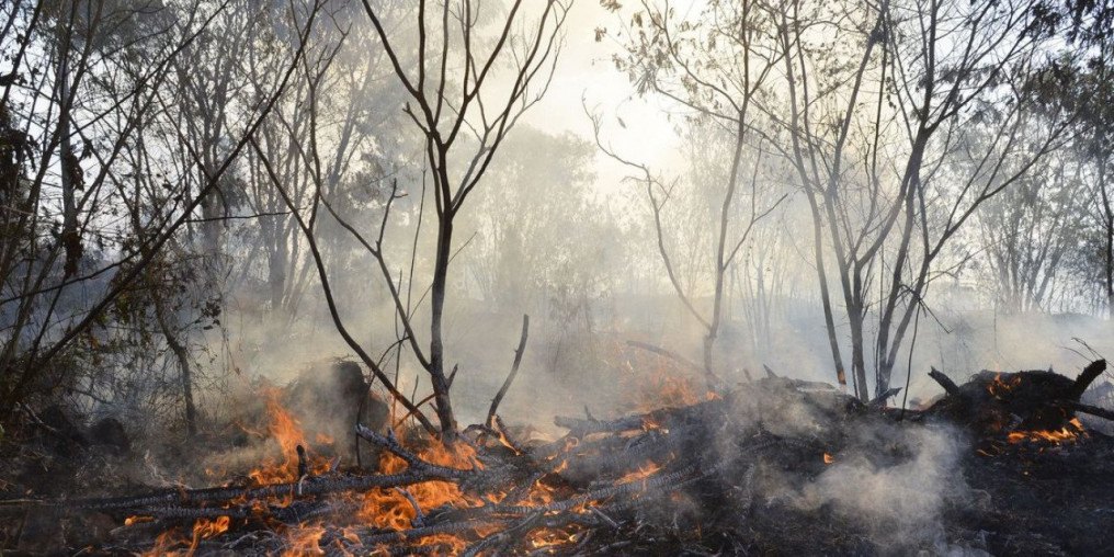 Em dois meses, fogo na Terra Indígena Yanomami cai 62%