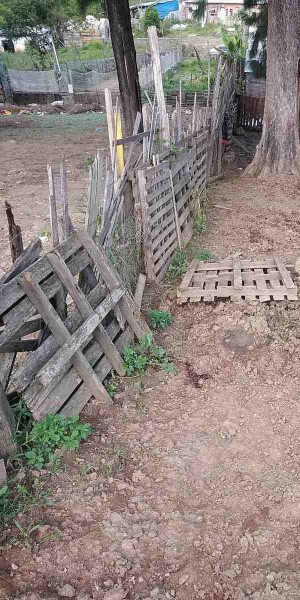 Setor de Homicídios esclarece assassinatos em Itaquá e Mogi