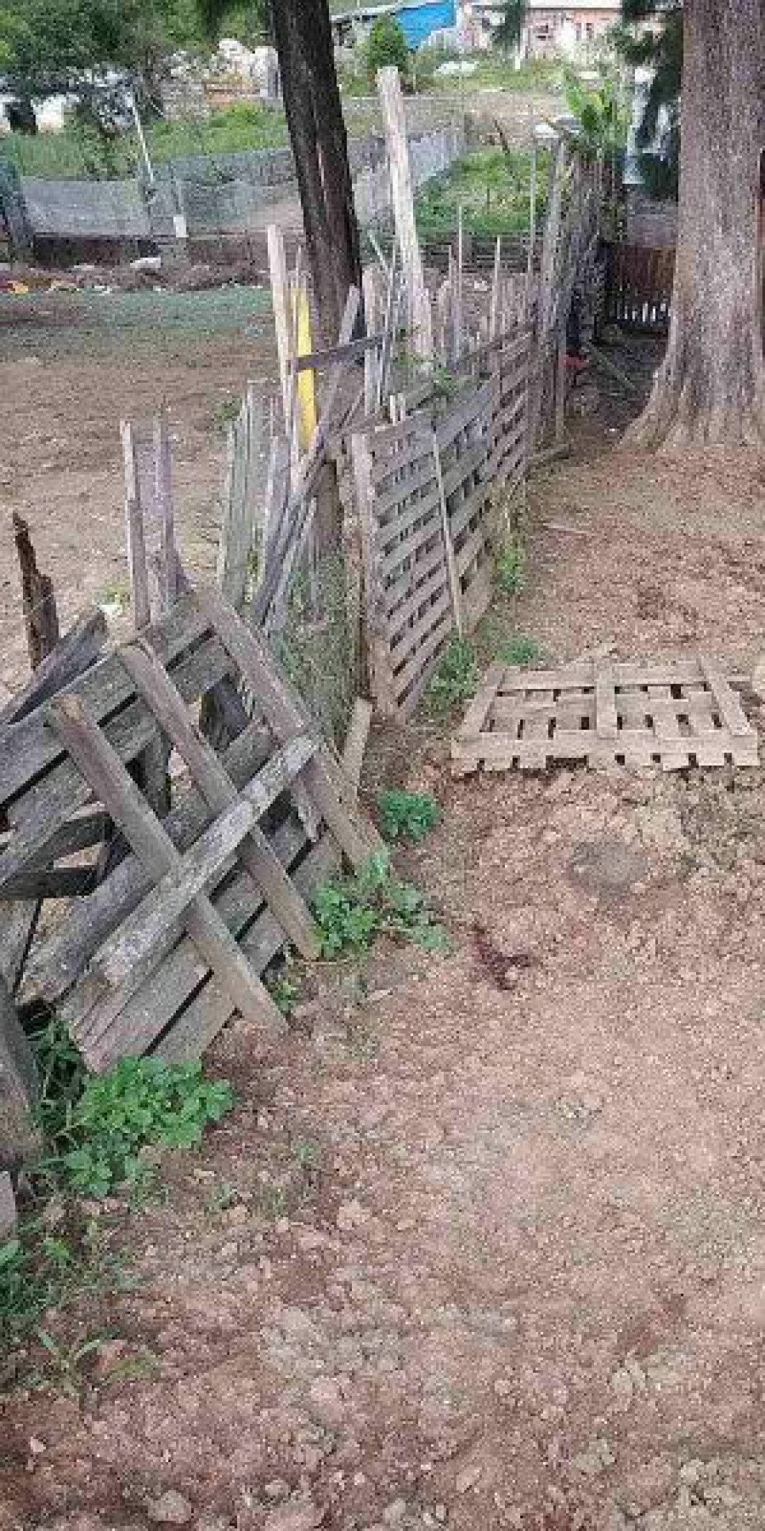 Setor de Homicídios esclarece assassinatos em Itaquá e Mogi