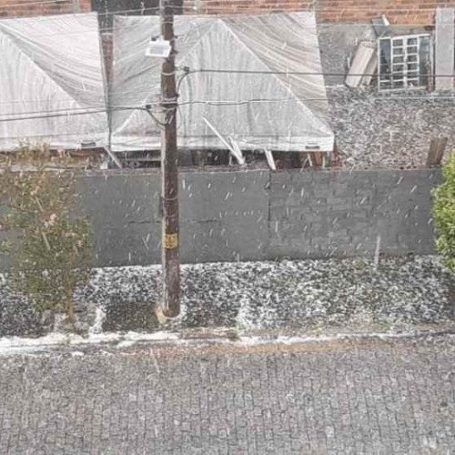 Chuva causa alagamentos e queda de árvores
