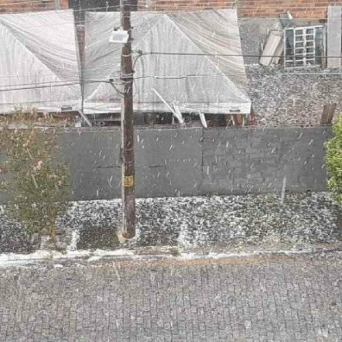 Chuva causa alagamentos e queda de árvores