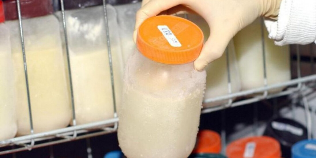 Unidade de saúde da Fiocruz pede doações de leite humano