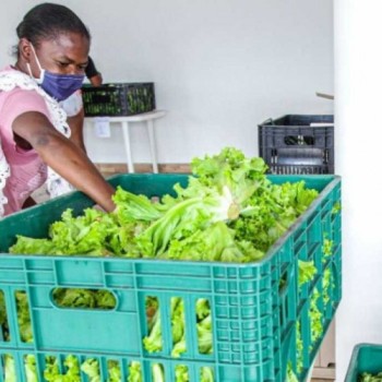 Quitanda Social distribui alimentos às famílias