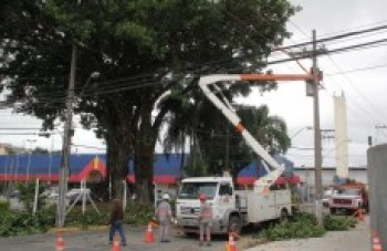 EDP Bandeirante realiza poda de árvore