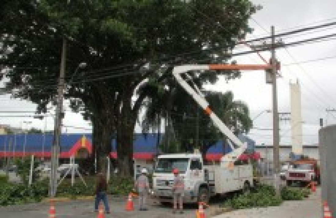 EDP Bandeirante realiza poda de árvore