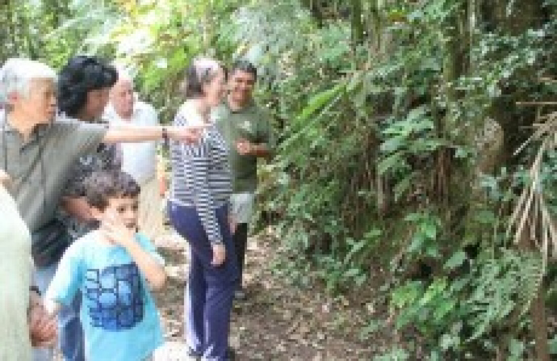 Parque Municipal recebe curso sobre abelhas sem ferrão