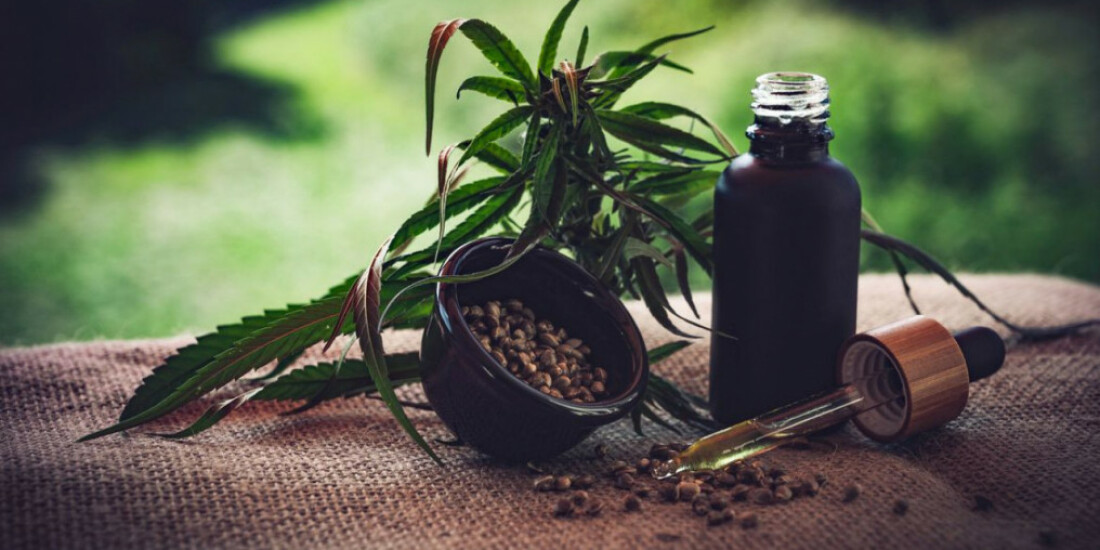 Canabidiol: em favelas do RJ, maioria depende de ajuda para tratamento