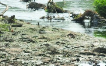 Desassoreamento começa este mês