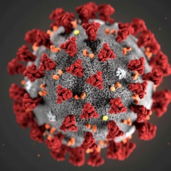 Cultura divulga vídeos com orientações sobre a pandemia