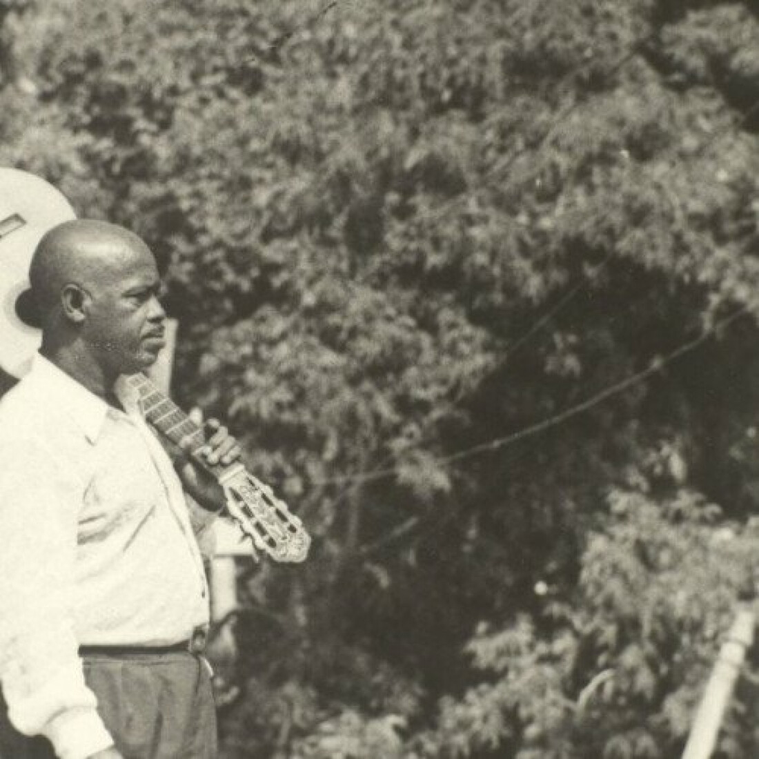 Hoje é Dia: semana lembra nascimento de sambistas centenários