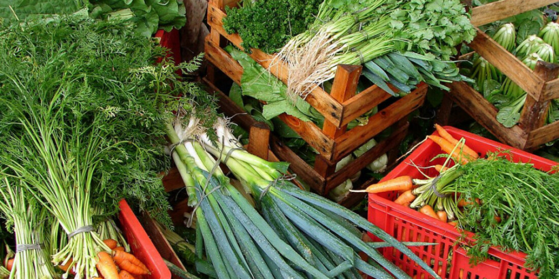 Câmara aprova recriação de Programa de Aquisição de Alimentos