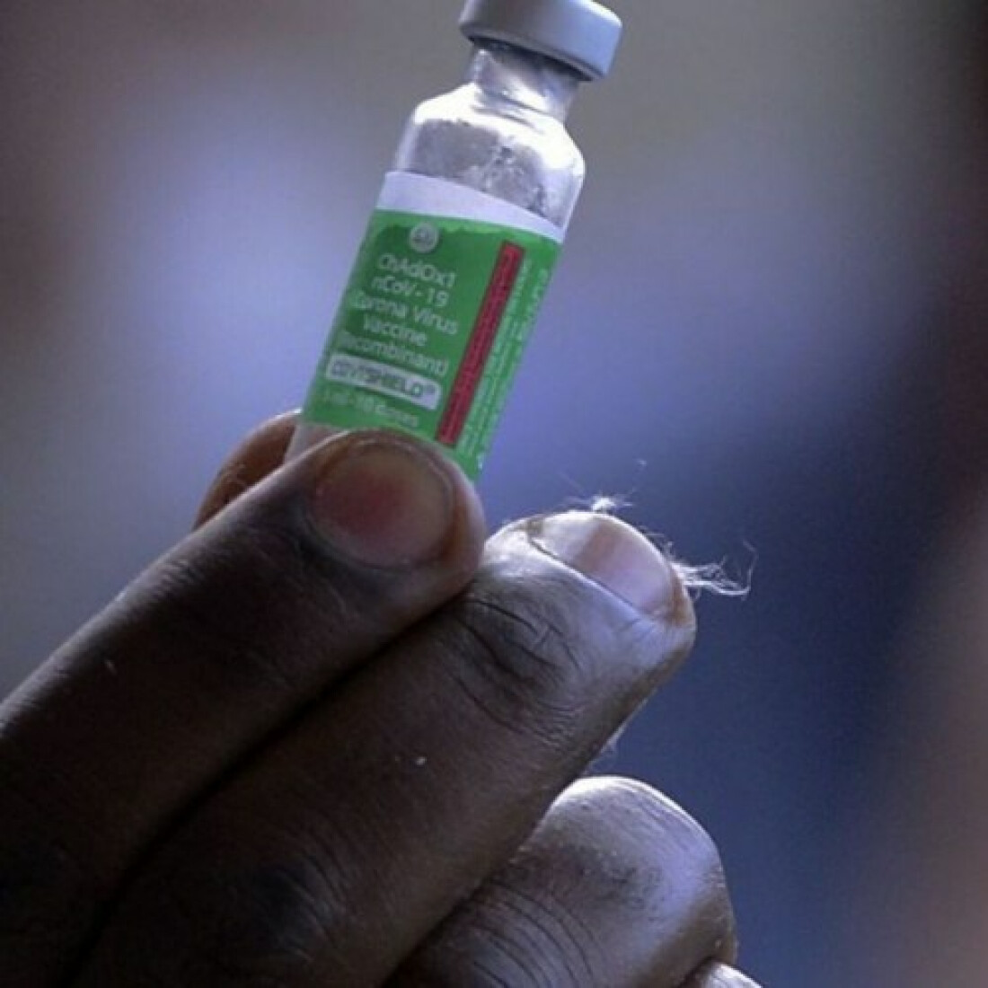 Fiocruz espera entregar 1 milhão de doses de vacinas na semana que vem