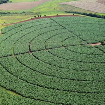 IBGE: previsão da safra 2021 é de 263,1 milhões de toneladas
