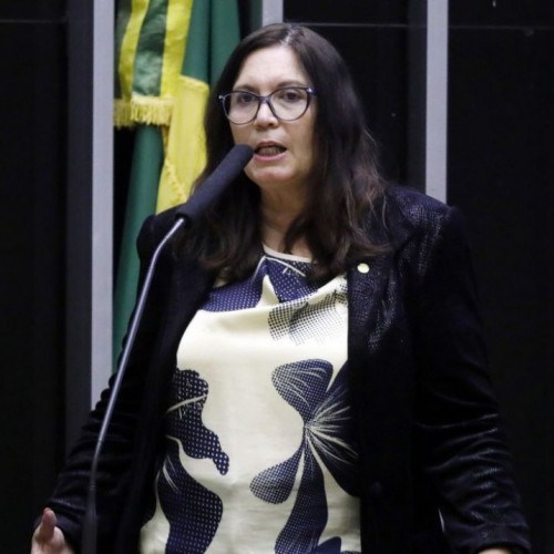 Bia Kicis é eleita presidente da CCJ da Câmara dos Deputados