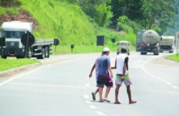 Rodovias da região tiveram 21 atropelamentos neste ano
