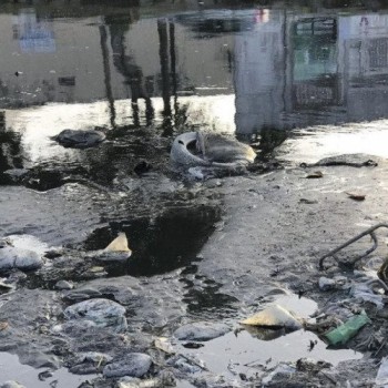 Vetos ao Marco do Saneamento podem ser votados nesta semana