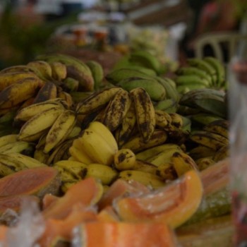 Saúde lança guia alimentar de bolso para menores de 2 anos