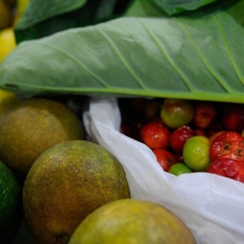 ONU: 931 milhões de toneladas de alimentos foram para o lixo em 2019 
