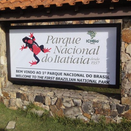 Pesquisadores reencontram dois anfíbios desaparecidos em Itatiaia