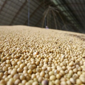 BC: produtos básicos impulsionam exportações na pandemia