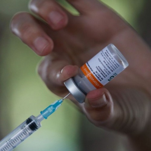Senado aprova MP para compra de vacinas por estados sem licitação