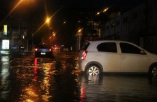 Fortes chuvas causam queda de árvores e acúmulo de água