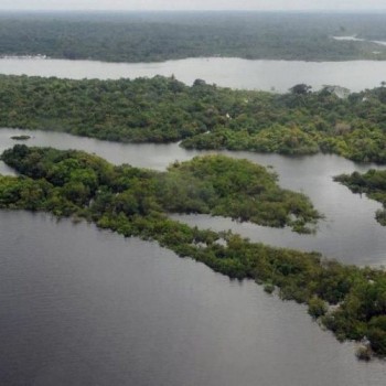 Publicada lista de unidades selecionadas ao programa Adote um Parque