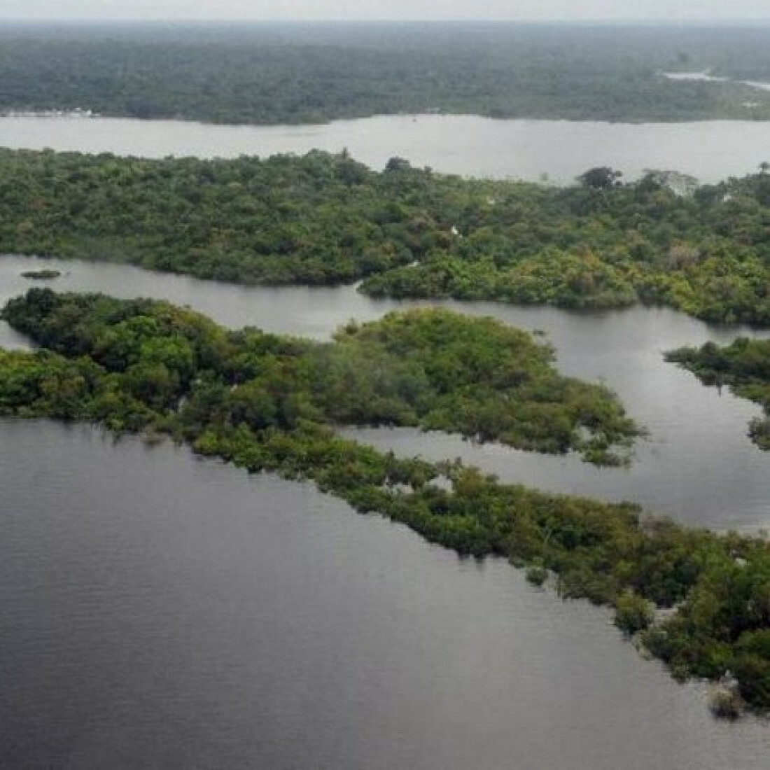 Publicada lista de unidades selecionadas ao programa Adote um Parque