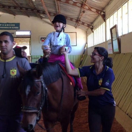 Caminhos da Reportagem apresenta hoje os benefícios da equoterapia