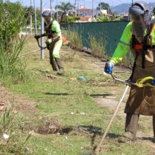 Mutirão de limpeza atende três bairros de Cesar de Souza