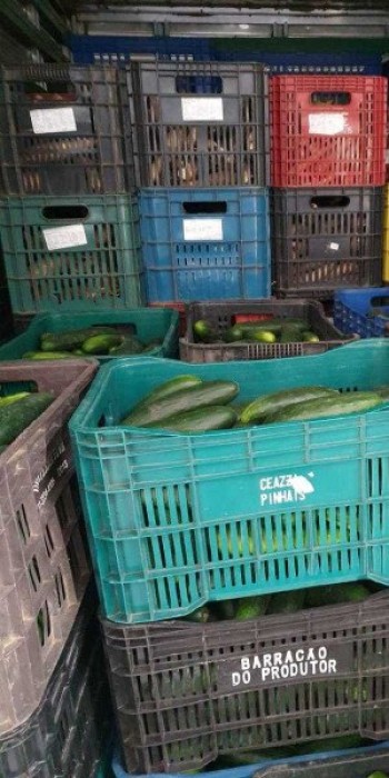 Banco de Alimentos está aberto a doações