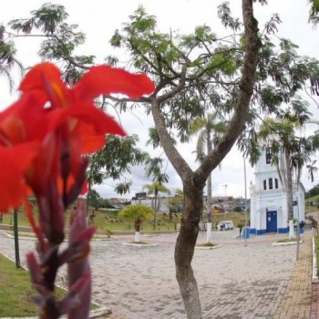 Praça Baruel passa por ação de revitalização