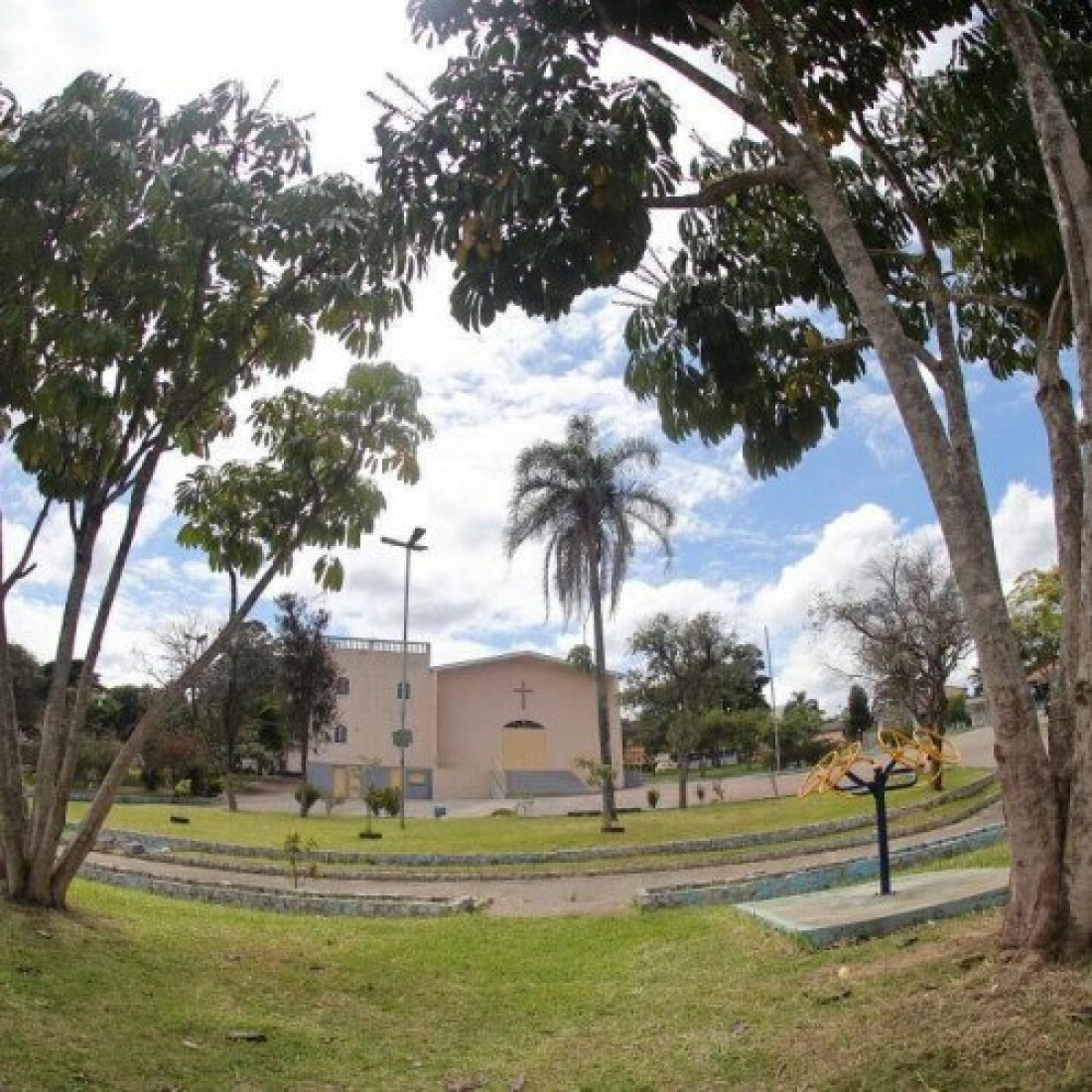 Viveiro Municipal reforça zeladoria em Suzano