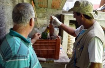 Casos de dengue caem 92% em Arujá
