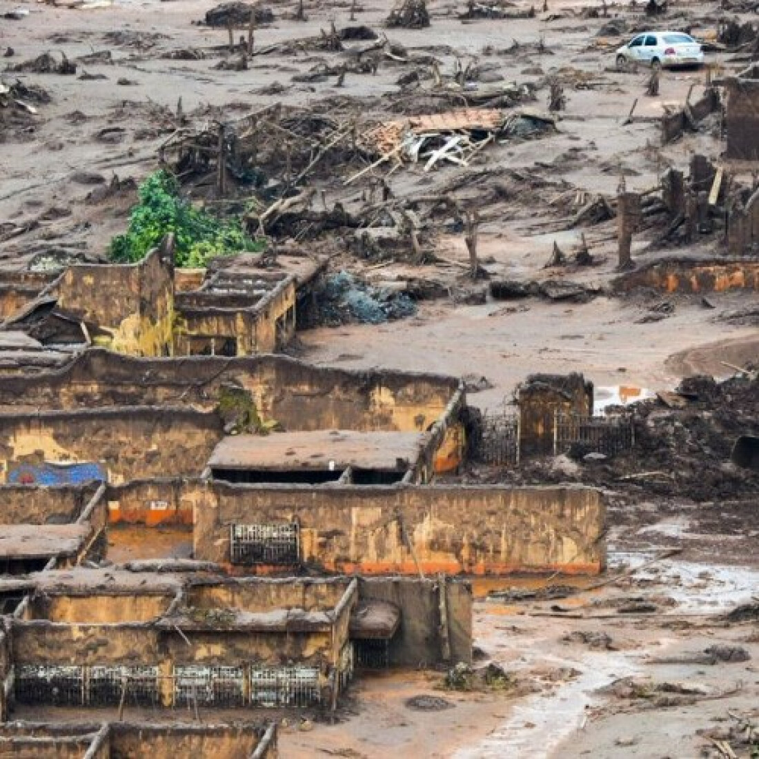 MP quer extinção de fundação criada para reparar tragédia de Mariana
