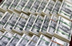 Região exporta 785 milhões de dólares ao longo de 2016