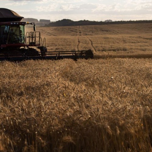 Vendas da indústria de máquinas tem alta de 38,5% em janeiro