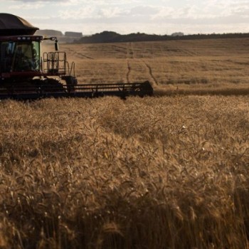 Vendas da indústria de máquinas tem alta de 38,5% em janeiro