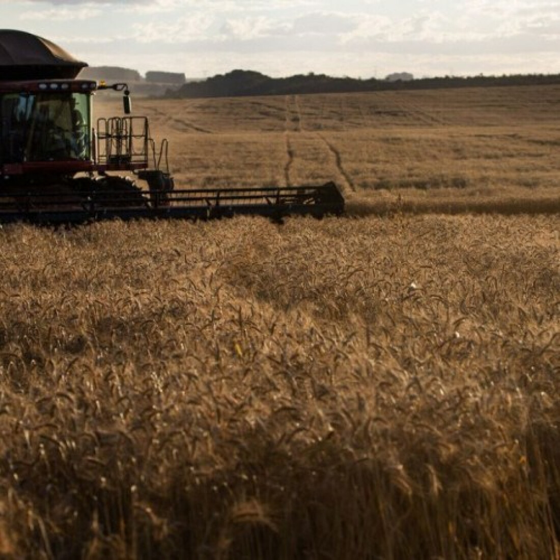 Vendas da indústria de máquinas tem alta de 38,5% em janeiro