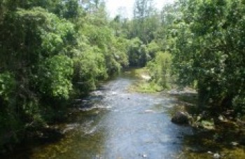 Expresso Turístico realiza novo roteiro neste sábado